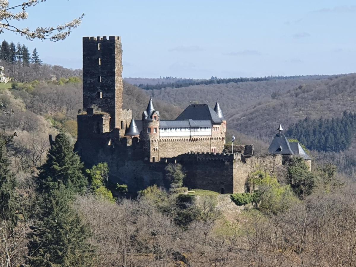 Am Burggraben Auf Der Sauerburg Apartment Sauerthal Екстериор снимка